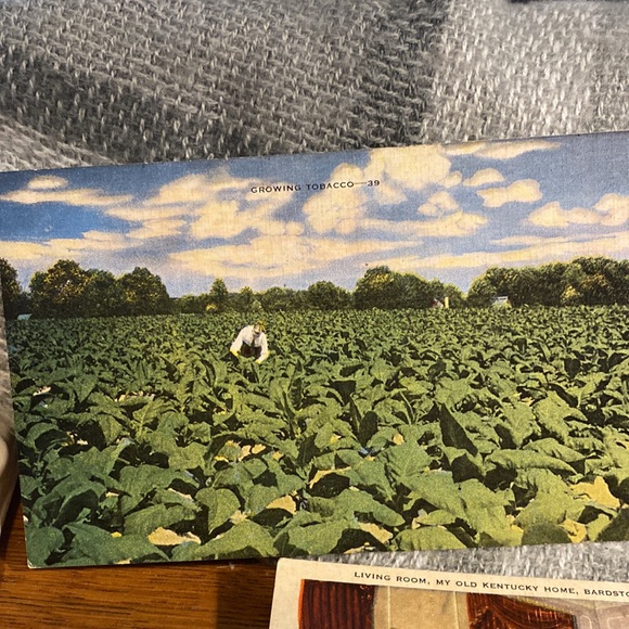 VINTAGE KENTUCKY POST CARDS - Picture 3 of 7